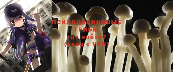 прущие крисы Красноперекопск