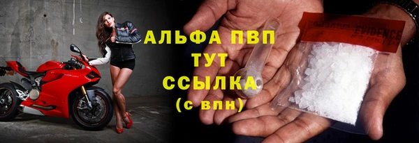 дурь Краснослободск