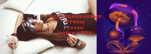 PSILOCYBIN Краснотурьинск