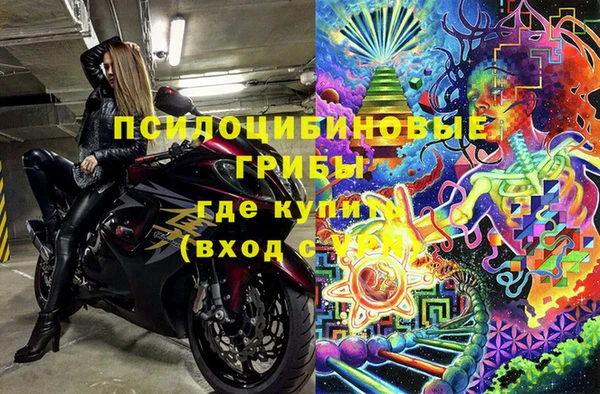 дурь Краснослободск