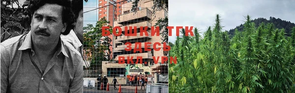 PSILOCYBIN Краснотурьинск