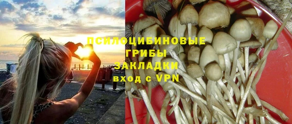 дурь Краснослободск