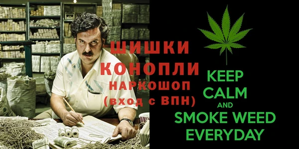 PSILOCYBIN Краснотурьинск