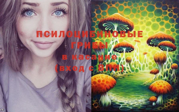 дурь Краснослободск