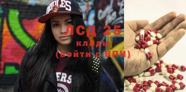 дурь Краснослободск