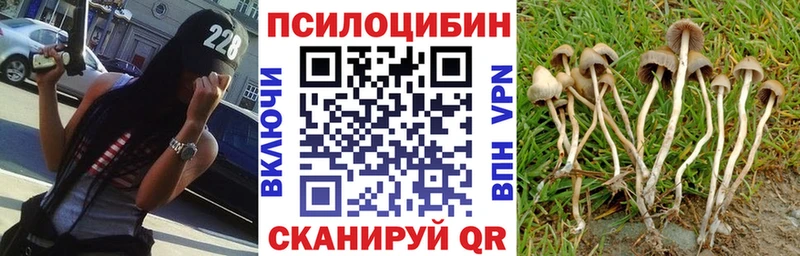Галлюциногенные грибы мухоморы Липецк