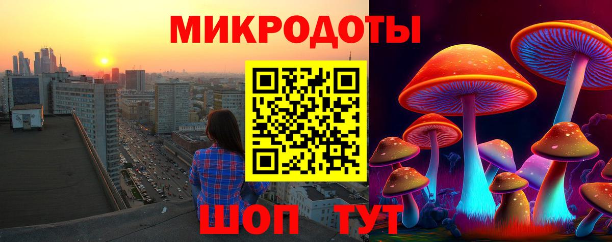 Псилоцибиновые грибы мухоморы Липецк
